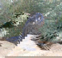 Bathurst Arts Trail - Tourism Noosa