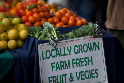 Blue Knob Community Market - Tourism Noosa 0