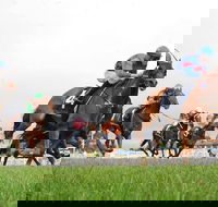 Christmas Cup Race Day - Tourism Noosa