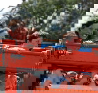 Culcairn Agricultural Show - Tourism Noosa