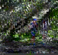 Elephant Trail Race - Tourism Noosa