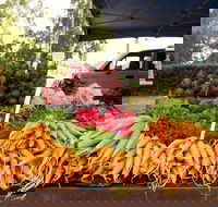 Evandale Market - Weekly - Tourism Noosa
