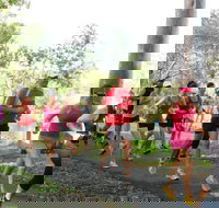 Gladstone Weekly Parkrun - Tourism Noosa