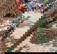 Gladstone Quality Markets - Tourism Noosa