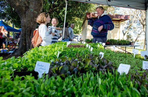 Gladstone Quality Markets - Tourism Noosa 2
