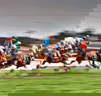 Grafton July Racing Carnival - Tourism Noosa