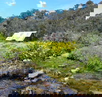 Hedonistic Hiking's Falls Creek to Hotham - Tourism Noosa