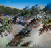 JetBlack Wild Wombat MTB Challenge - Tourism Noosa