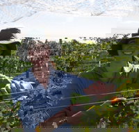 Kingsdale Wines - Cellar Door Wine Tastings - Tourism Noosa