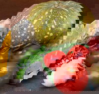 Lismore Organic Market - Tourism Noosa