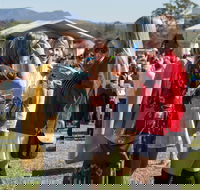 Lovedale Long Lunch - Tourism Noosa