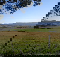 Milton Village Showground Markets - Tourism Noosa