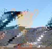 Nimbin Poetry World Cup - Tourism Noosa