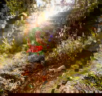 Run Dungog - Tourism Noosa