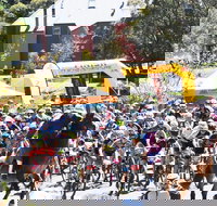 Snowies MTB Festival - Tourism Noosa