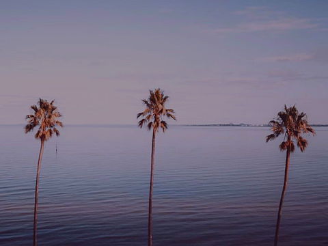 Sunset Streaming Live DJ Streams - Tourism Noosa 0