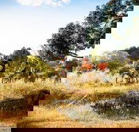 The Beverley Heroic - Tourism Noosa