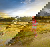 Trail Run Australia  Snowy Mountains - Tourism Noosa