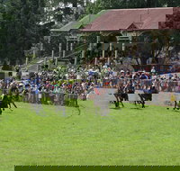 Tumut Derby Day - Tourism Noosa