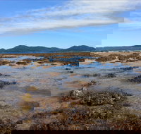 Walk to the Reef - Tourism Noosa