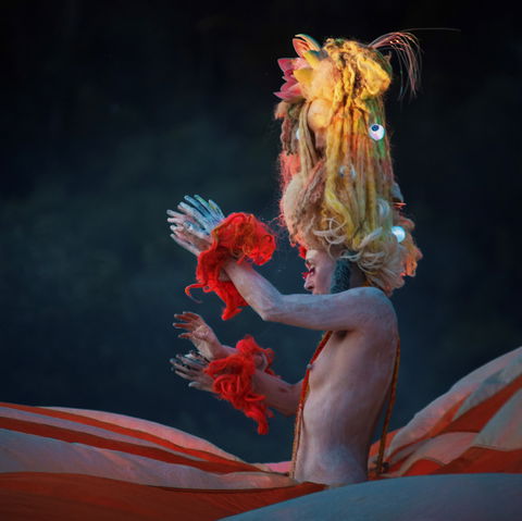 Yonder Festival 2020 - Tourism Noosa 2