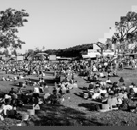 Yours and Owls Festival - Tourism Noosa