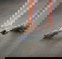 Beginner Tap Extended - Tourism Noosa