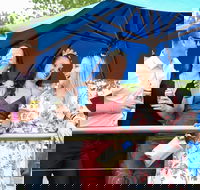 Bet 365 Caulfield Cup Day at Wodonga Race Course - Tourism Noosa