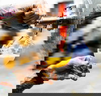 Brewing for Beginners - Tourism Noosa