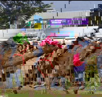 Camel Races at Gosford Showgrounds - Tourism Noosa