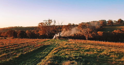 Cargo Road Wines Grande Fiamma - Tourism Noosa 0
