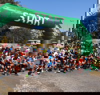 Coffs Harbour Running Festival - Tourism Noosa