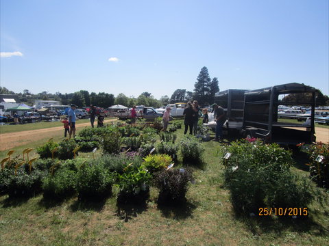 Crookwell Rotary Swap Meet And Market Day - Tourism Noosa 1