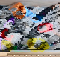 Cuttle-Rock Challenge - CUTTLEFEST 2020 - Whyalla - Tourism Noosa