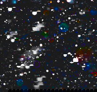 Eclectic by Murray Conservatorium - Tourism Noosa