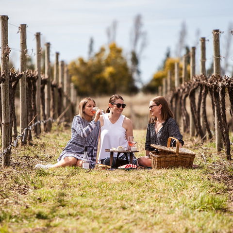 Family Picnic Weekend - Tourism Noosa 0