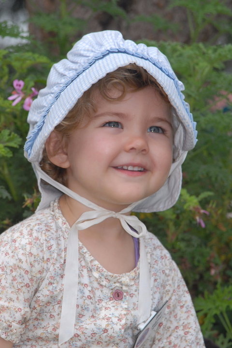 Festival Of The Big Cow - Tourism Noosa 1