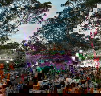 Field Good Festival - Tourism Noosa