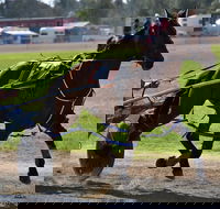 Forbes Show - Tourism Noosa