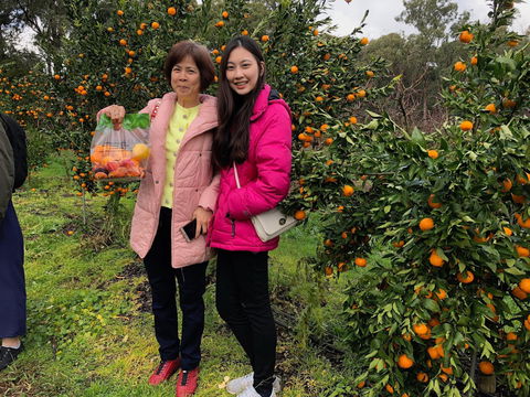 Fruit Taste Adventure Tours - Tourism Noosa 0