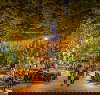 Fusion Wagga Wagga - Tourism Noosa