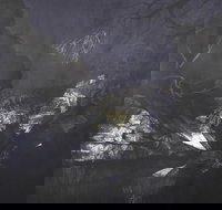 Halinka Orszlok Black Bob's Creek - Tourism Noosa