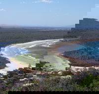 Head to Head Walk Run - Tourism Noosa