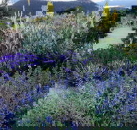 Highfield Gardens - Tourism Noosa