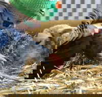 Horsham Agricultural Show - Tourism Noosa