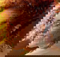 My Brilliant Career - Tourism Noosa