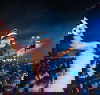 North Gong New Year's Eve - Tourism Noosa