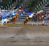 North Queensland Elite Rodeo - Tourism Noosa