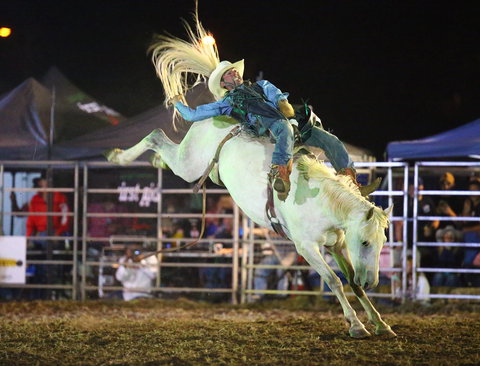 Patches Asphalt Queanbeyan Rodeo - Tourism Noosa 2