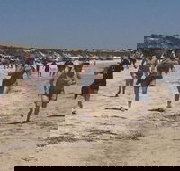 Perlubie Beach Sports Day - Tourism Noosa